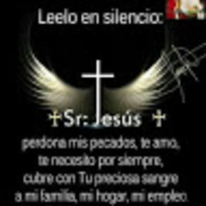 Meet your Posher, Alfredo